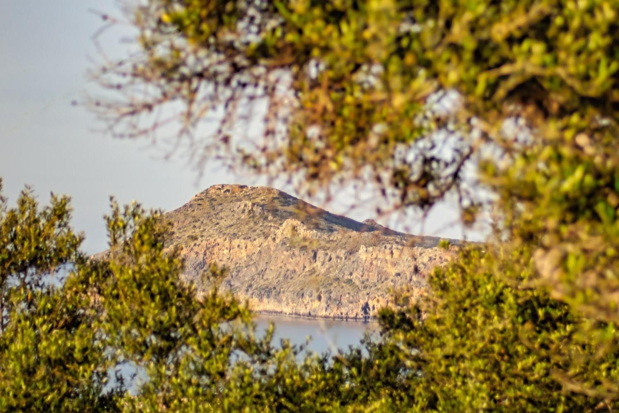 Venizelos Studios Platanés Exteriér fotografie